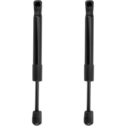 PHILTOP®️ Rear Tailgate Lift Supports Shock Struts for Maxima 2004-2008, Stay Rod Suspension TSG425004 2pcs