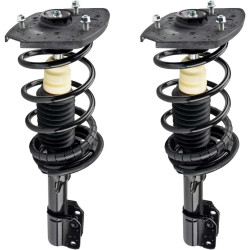 PHILTOP Impala 2000-2011/Monte Carlo 2000-2007/Intrigue1998-2002 Rear Struts Assembly 2Pcs