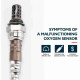 Suncent® 234-4162 Oxygen Sensor 1