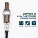 Suncent® 234-9051 Oxygen Sensor 1
