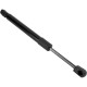 Suncent®️ Rear Trunk Lift Supports Shock Struts Fit for Impala 2000-2005 Monte Carlo 2000-2007 Lumina 2000-2001, SG430022 SG4300 2
